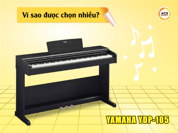 Dieu-gi-khien-yamaha-ydp-105-duoc-nguoi-moi-chon-nhieu