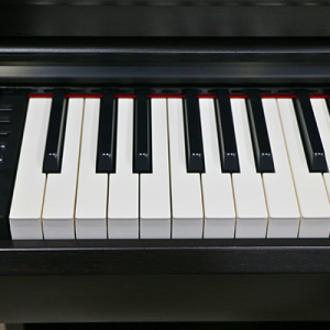 Nut-chuc-nang-dan-piano-dien-yamaha-ydp-166