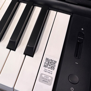 Nut-nguon-am-luong-dan-piano-dien-samick-first-1-plus