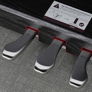Pedal-dan-piano-dien-samick-first-1-plus