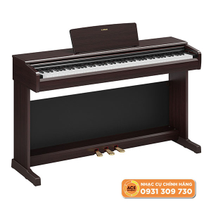 Yamaha-ydp-146-rosewood-dan-piano-dien