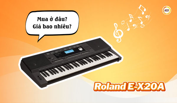 Mua-roland-e-x20a-chinh-hang-o-dau-gia-bao-nhieu