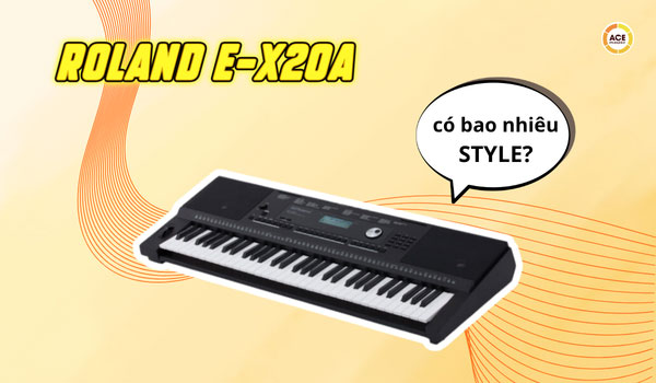 Roland-e-x20a-co-bao-nhieu-style-kham-pha-nhip-dieu-dem