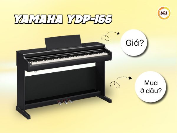 Yamaha-ydp-166-gia-bao-nhieu-mua-o-dau-uy-tin