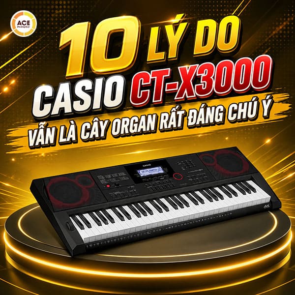 10-ly-do-casio-ct-x3000-van-la-cay-organ-rat-dang-chu-y