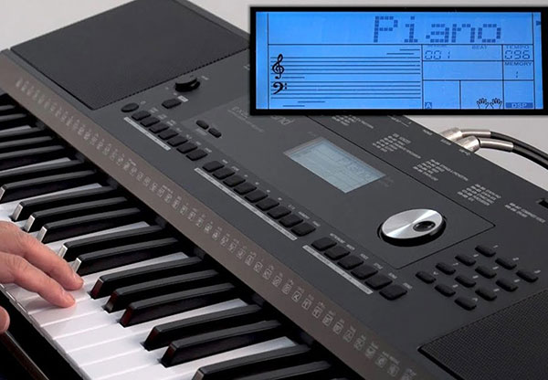 Huong-dan-hoc-dan-organ-co-ban-voi-roland-e-x20a-de-hieu-2