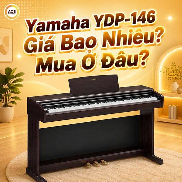 Yamaha-ydp-146-moi-2026-gia-bao-nhieu-dia-chi-mua-o-dau-1